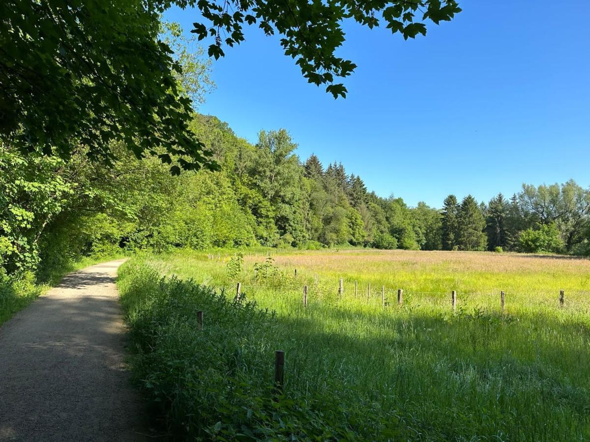 Apartment Nahe Naturschutzgebiet „Wurmtal“ Würselen Eksteriør bilde